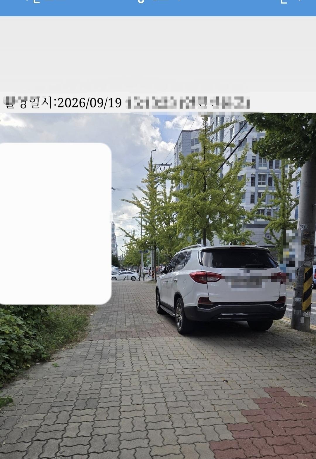 56584.jpg