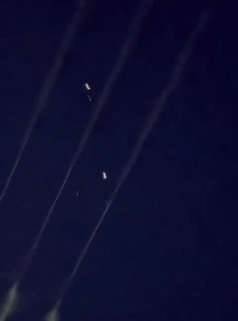 1000005203.gif