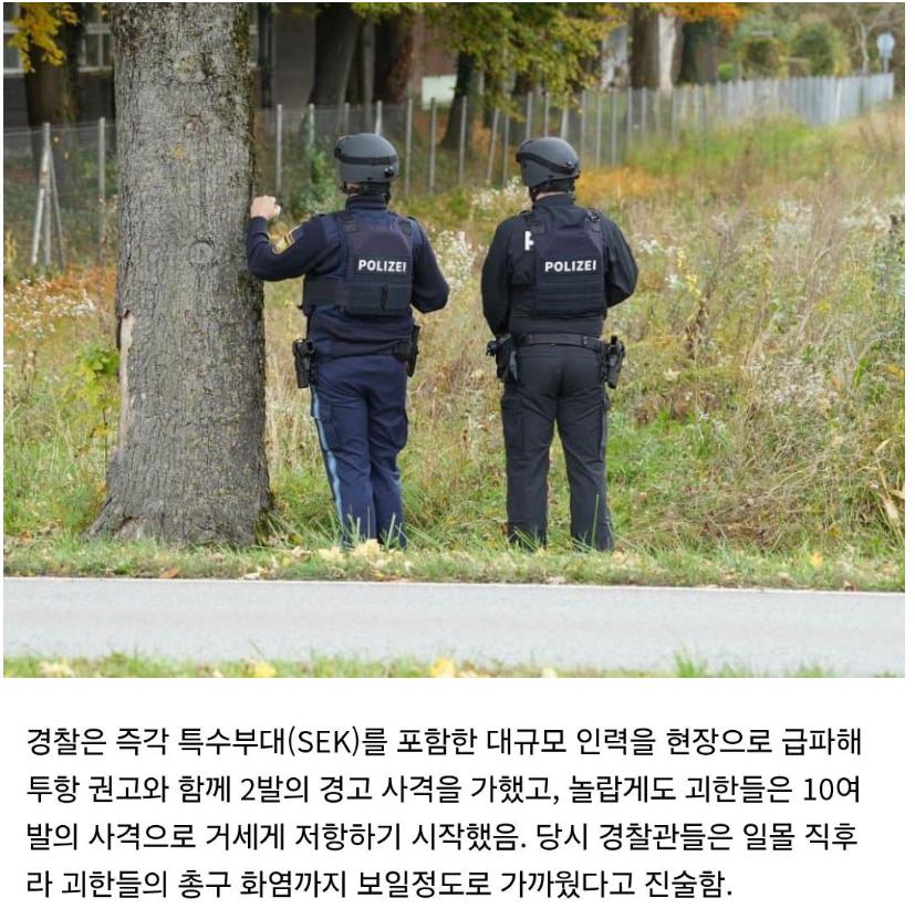 Cap 2026-04-25 13-47-36.jpg