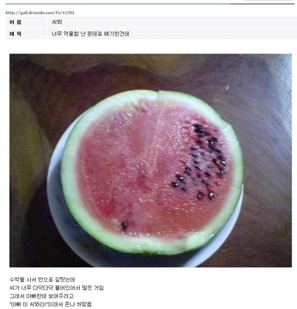 갑자기 생각나네... 용광로 이 씨바라~~ | 보배드림 시승기/배틀/목격담