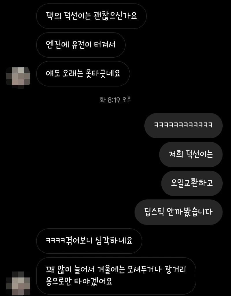 터보드림 이미지