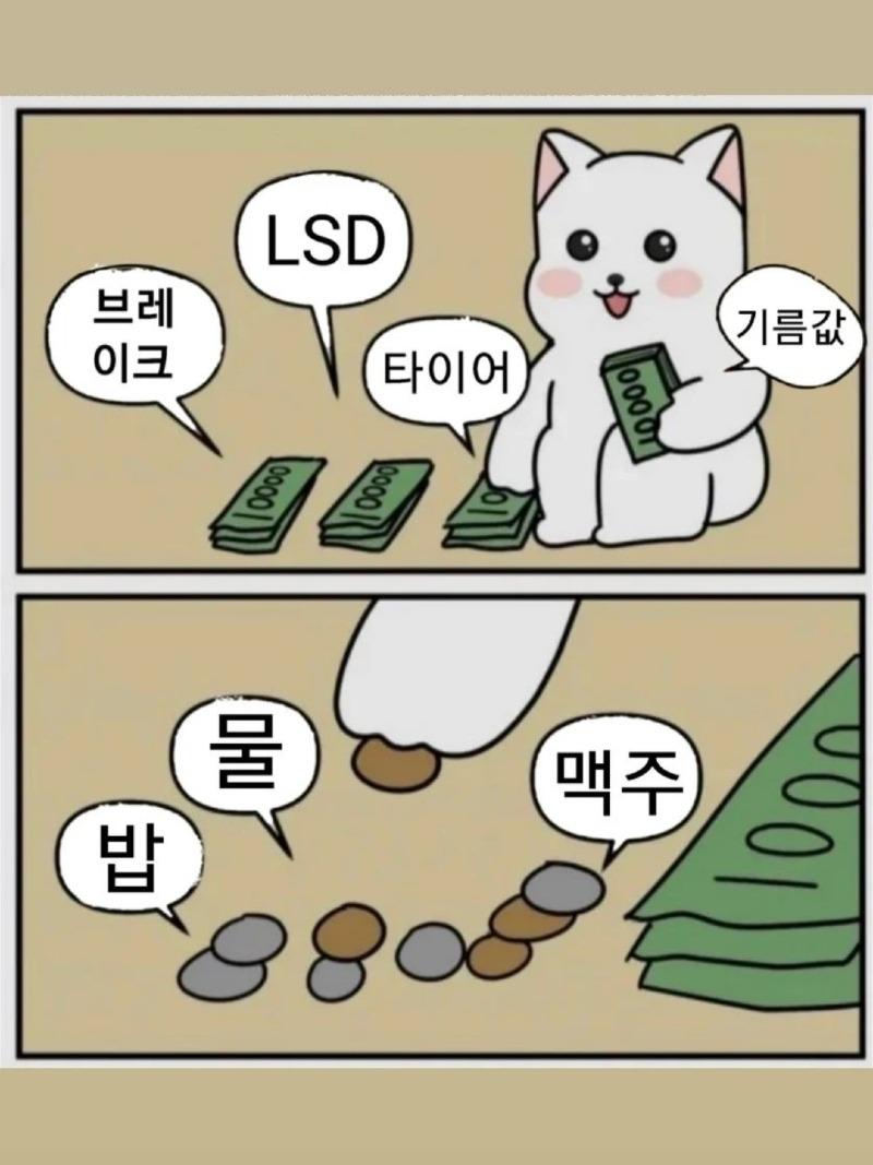 KakaoTalk_20220829_112124261.jpg