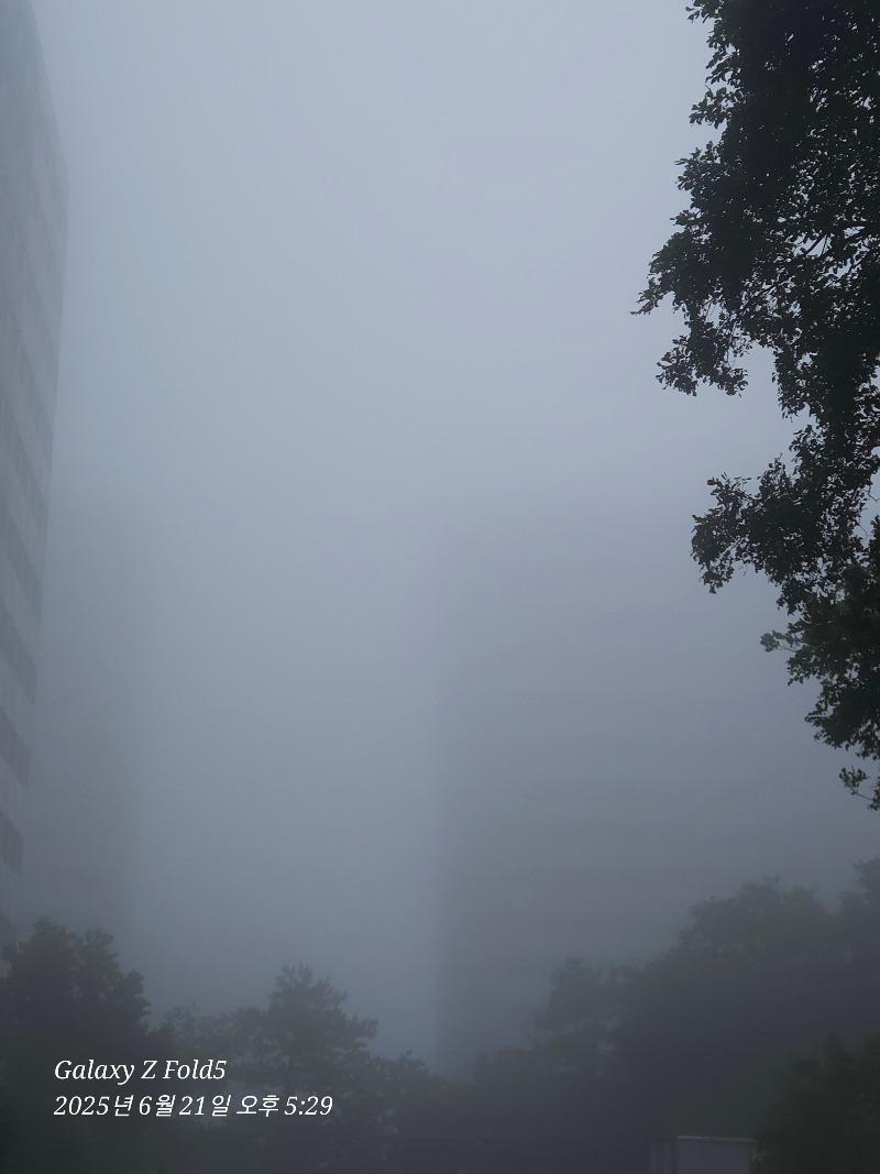 3005.jpg