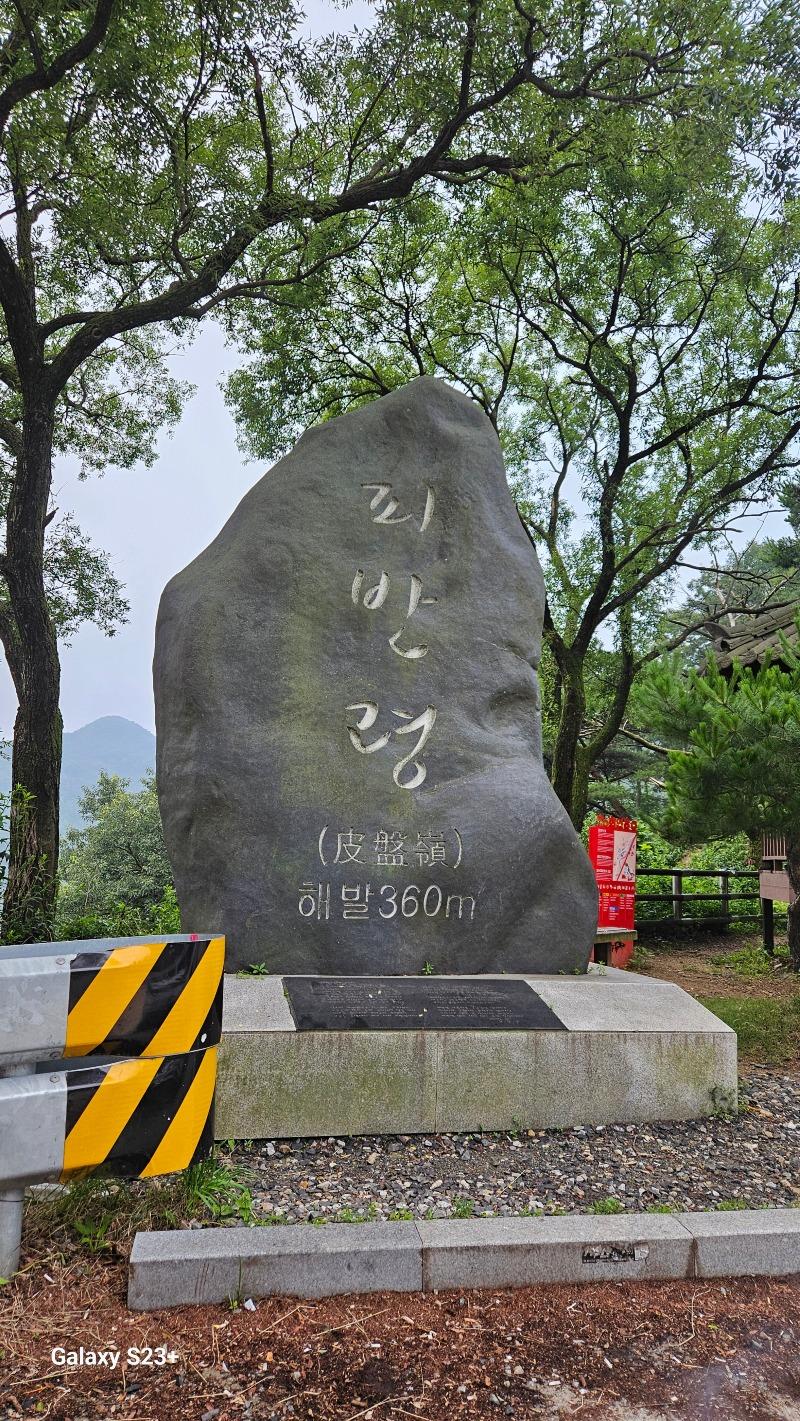 1000019524.jpg