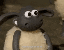 IMG_2367.gif