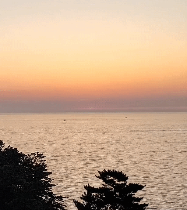 20250725_050631_1_1_1.gif