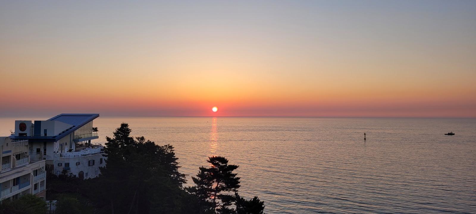 20250725_052913.jpg