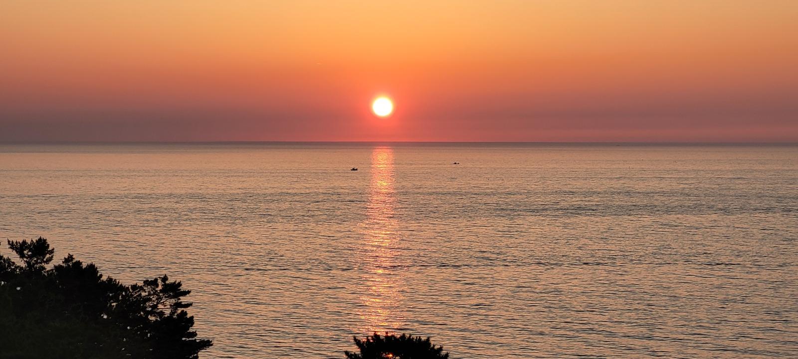20250725_052936.jpg