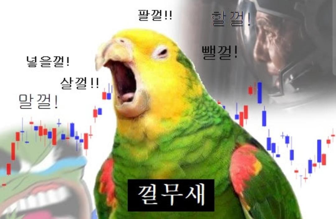 Screenshot_20250729_122447_Naver Cafe.jpg