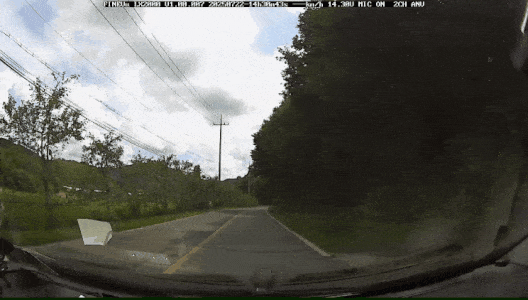 1000041441.gif