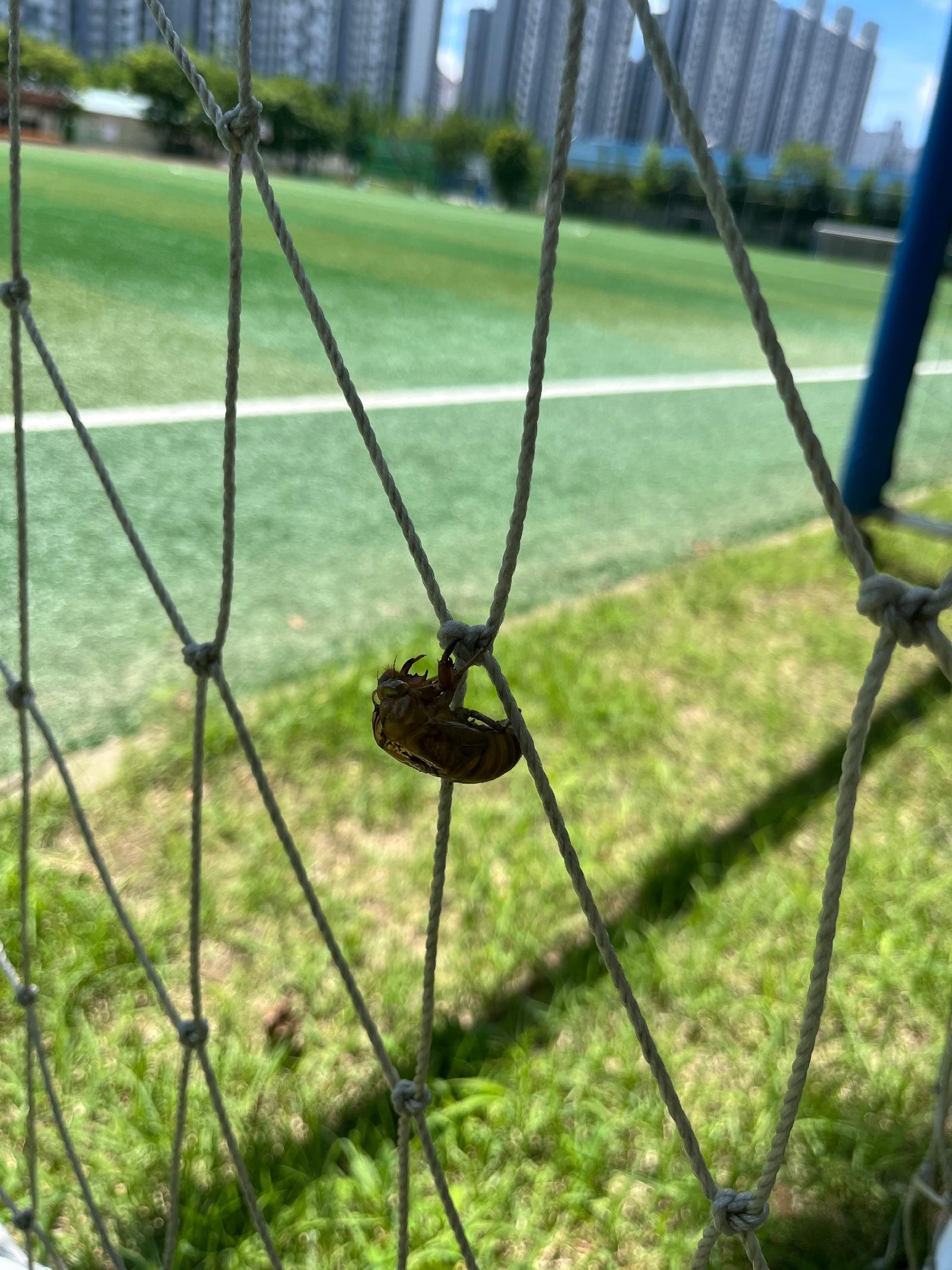 IMG_4245.jpeg
