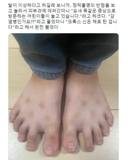 1754398249459.webp