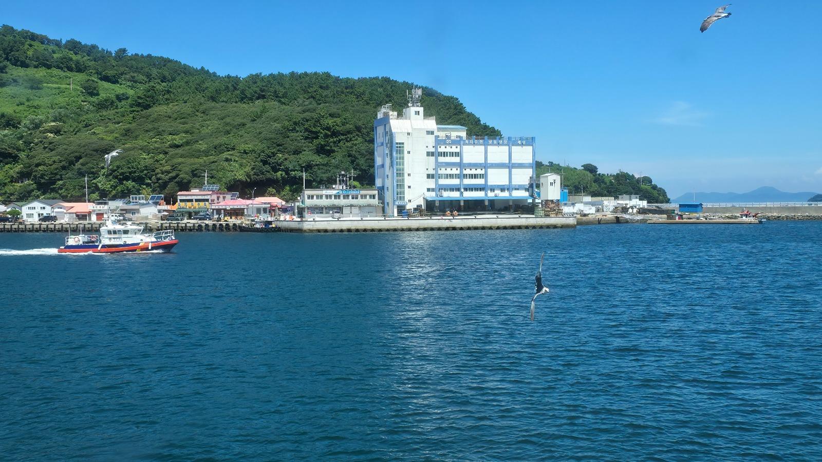 1188.jpg