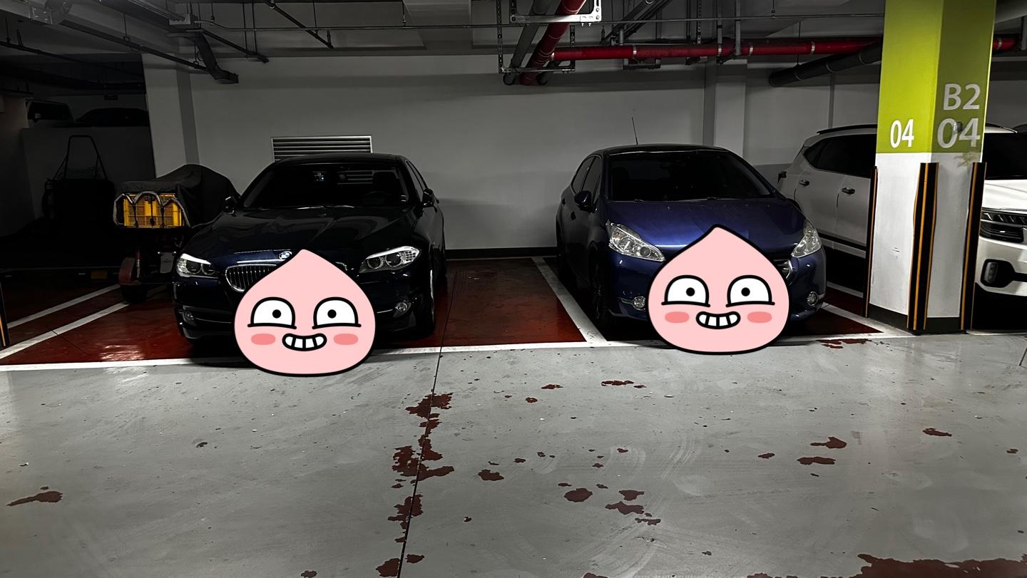 KakaoTalk_20250826_100944118.jpg