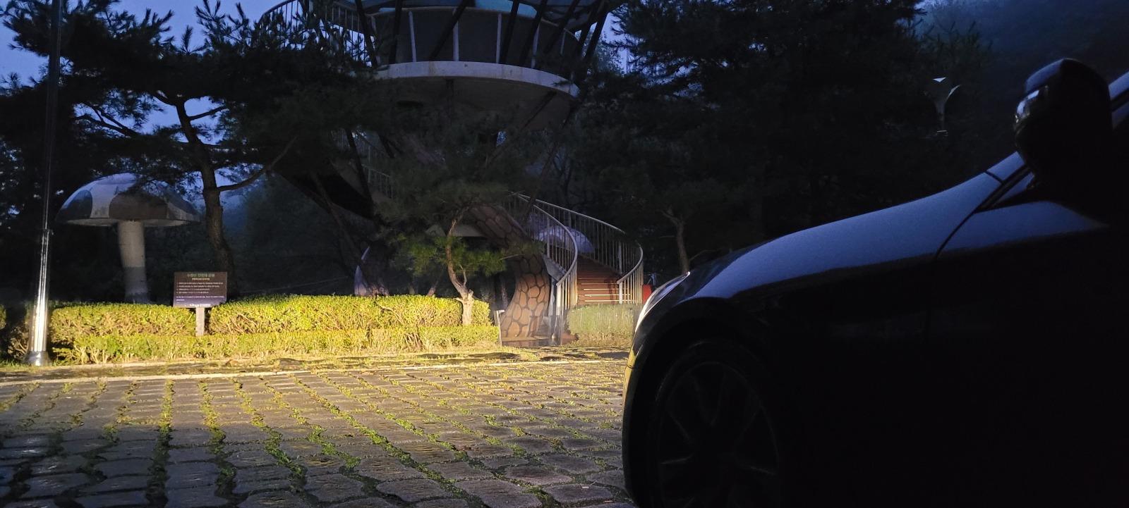 20250928_060941.jpg