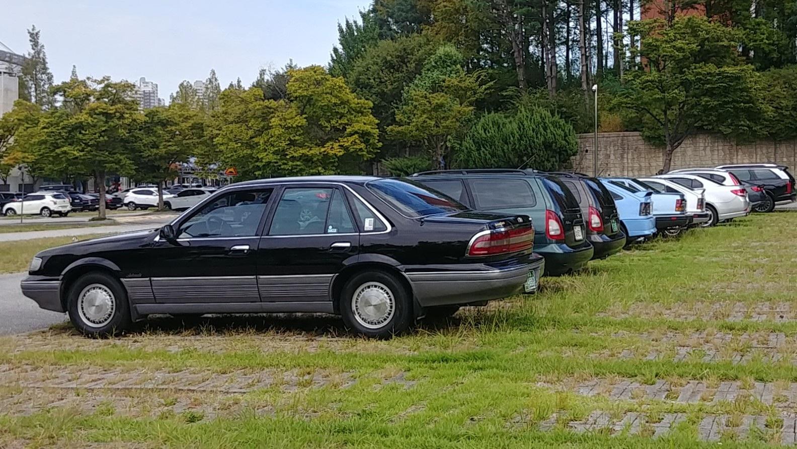 1759048450428.jpg