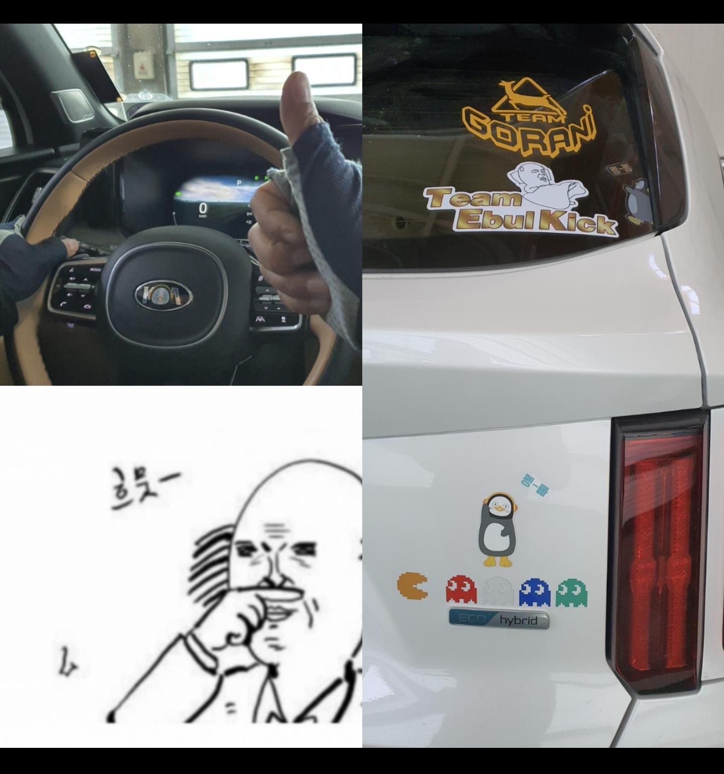 22486.jpg