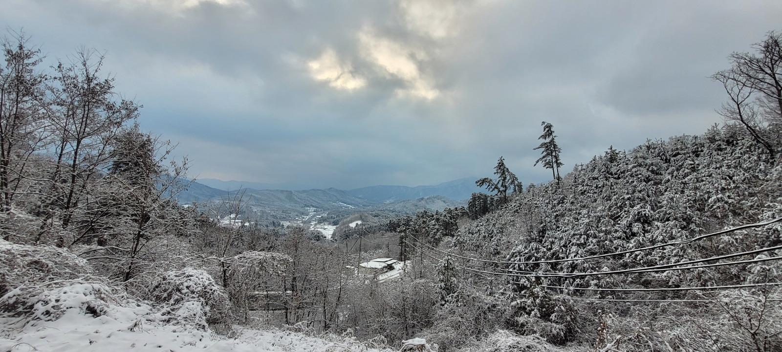 20251214_075921.jpg