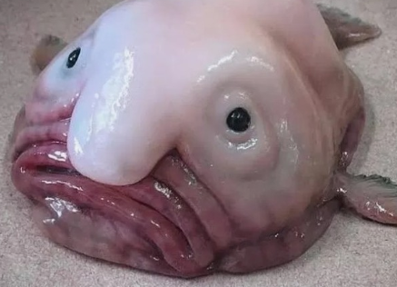 1000010607.png