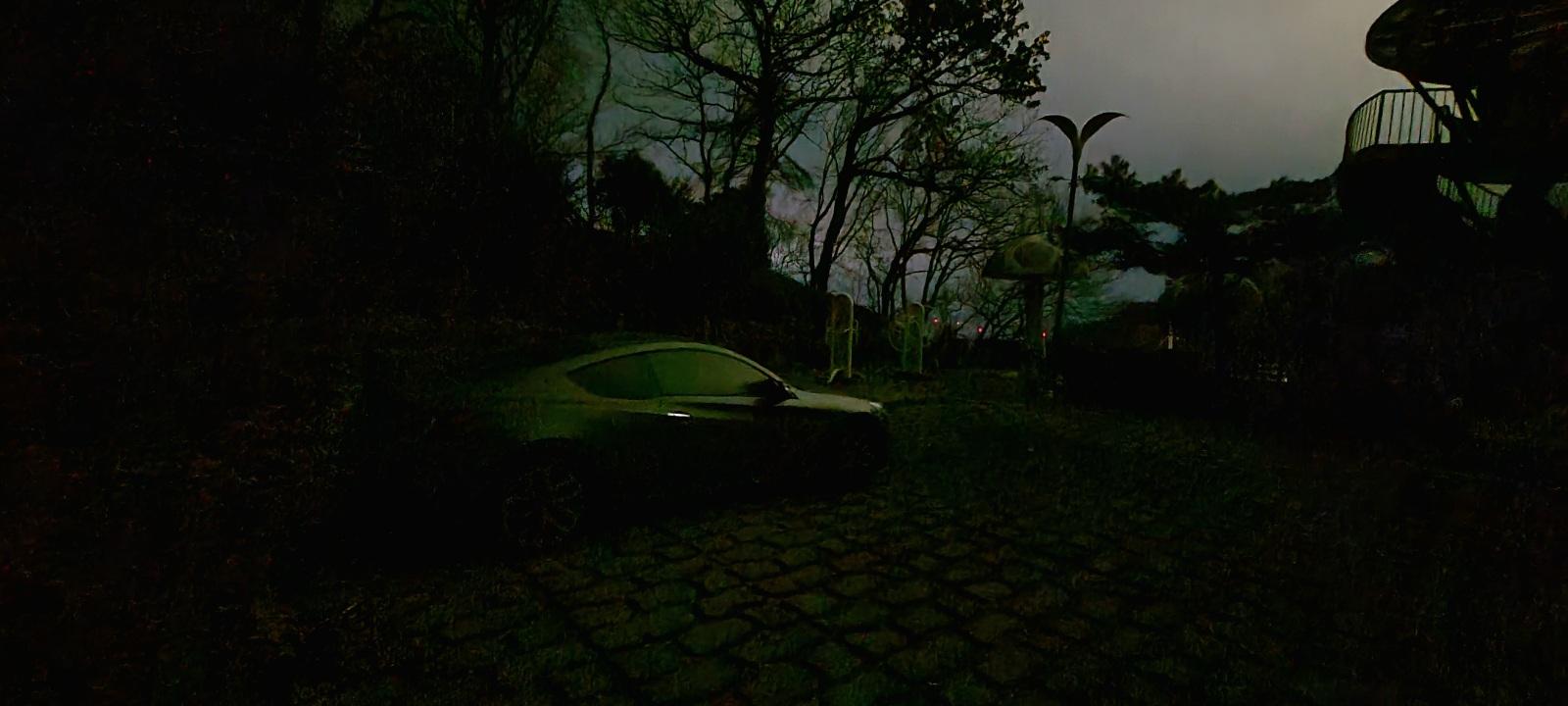 20260222_062913.jpg