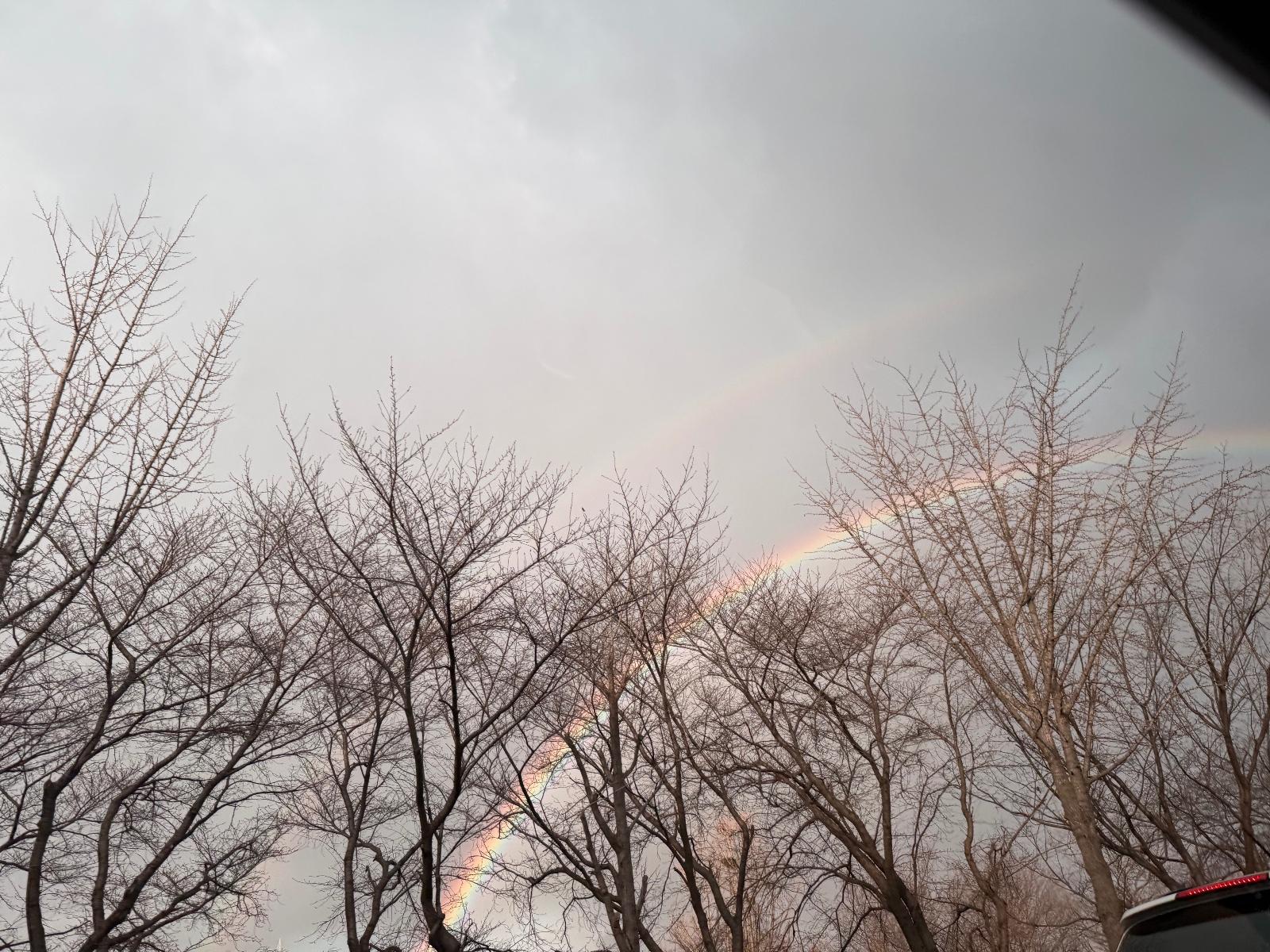 IMG_0305.jpeg