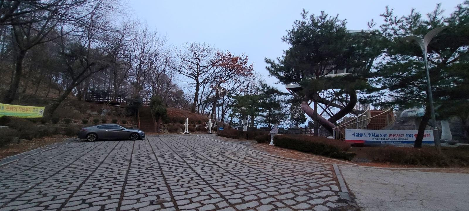 20260322_062409.jpg