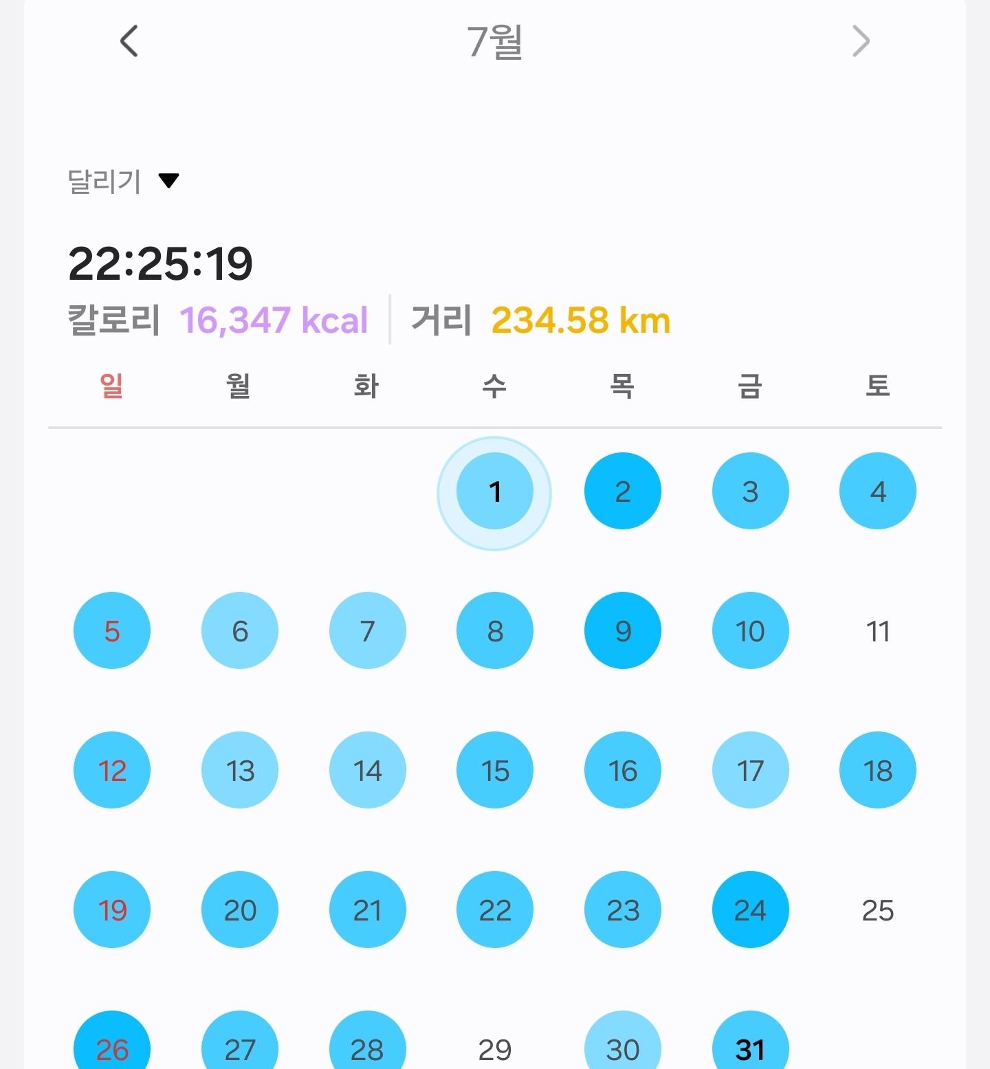45533.jpg