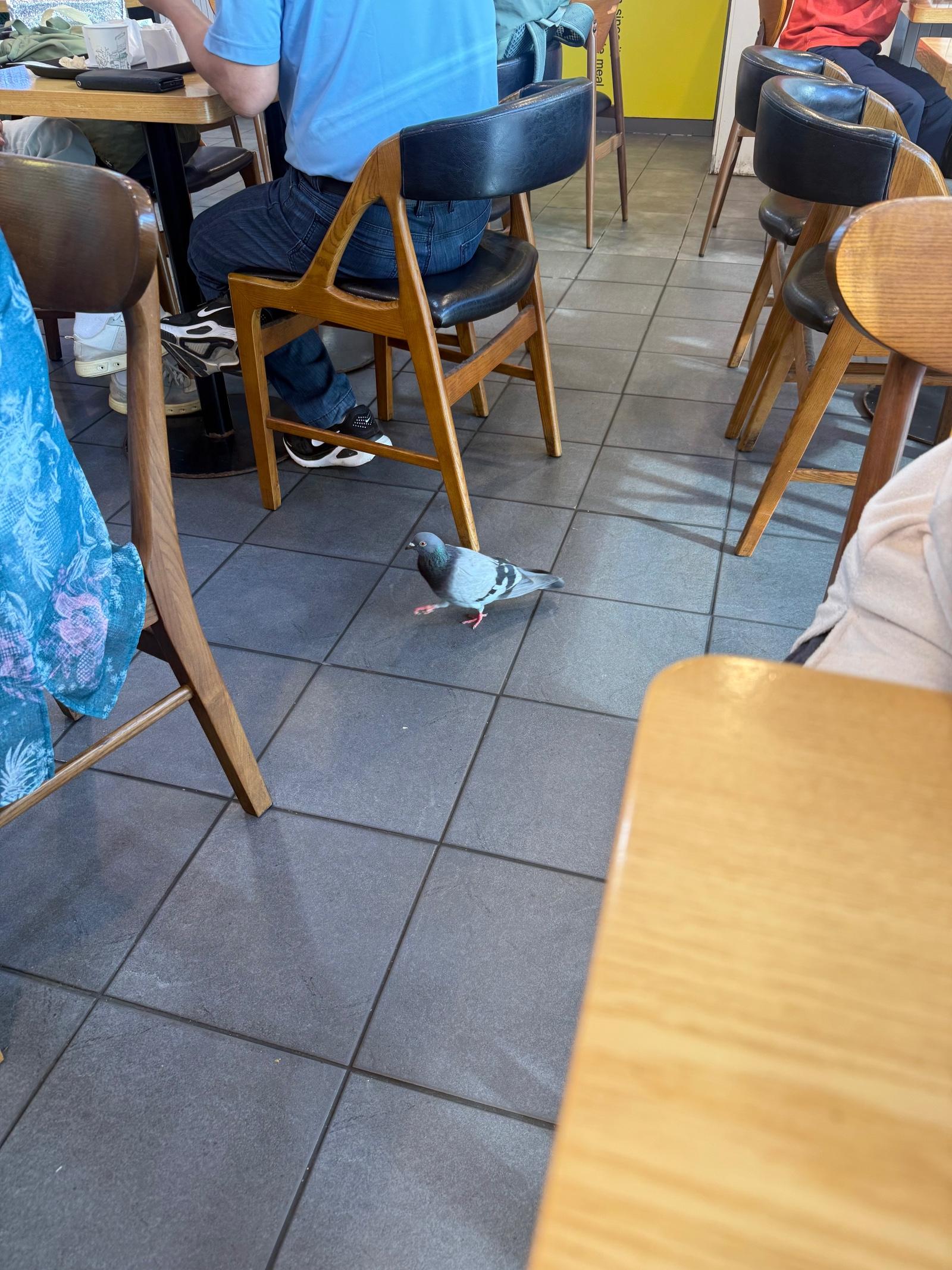 IMG_3069.jpeg
