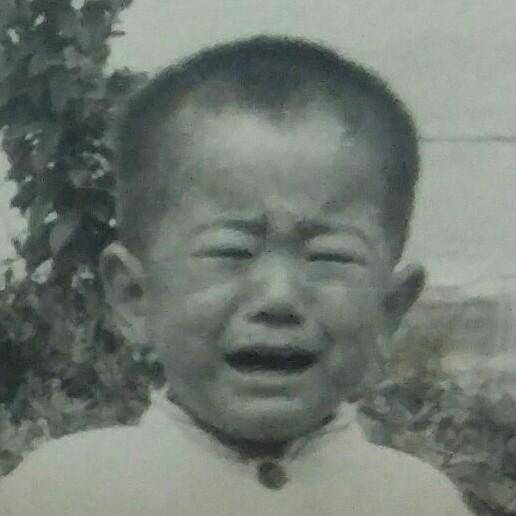 가발 | 보배드림 자유게시판