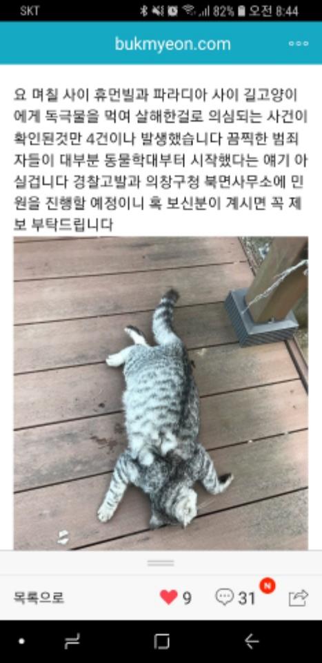 클릭하시면 원본 이미지를 보실 수 있습니다.