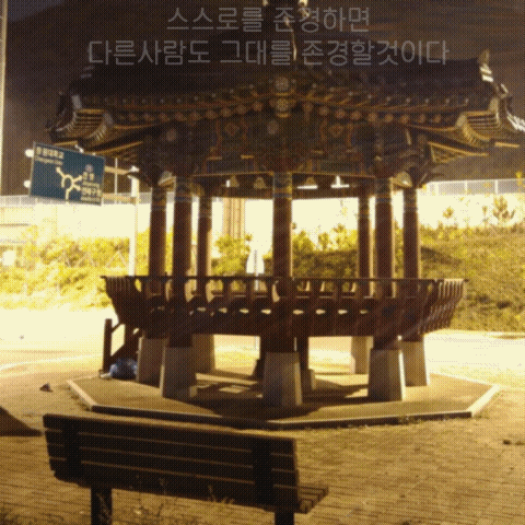 굿모닝입니드아아아아아~~~~ | 보배드림 자유게시판