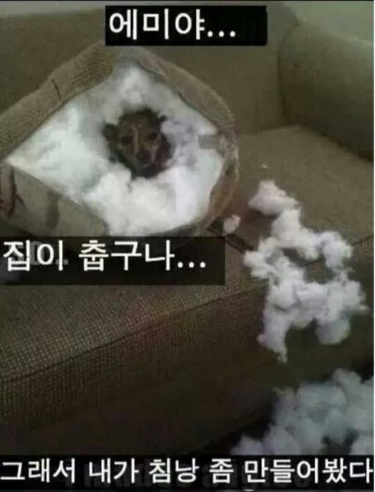 봉미네 이미지