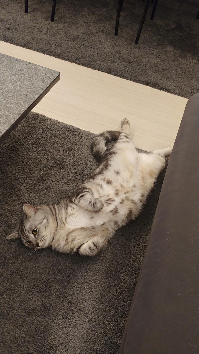 장봐드림 이미지