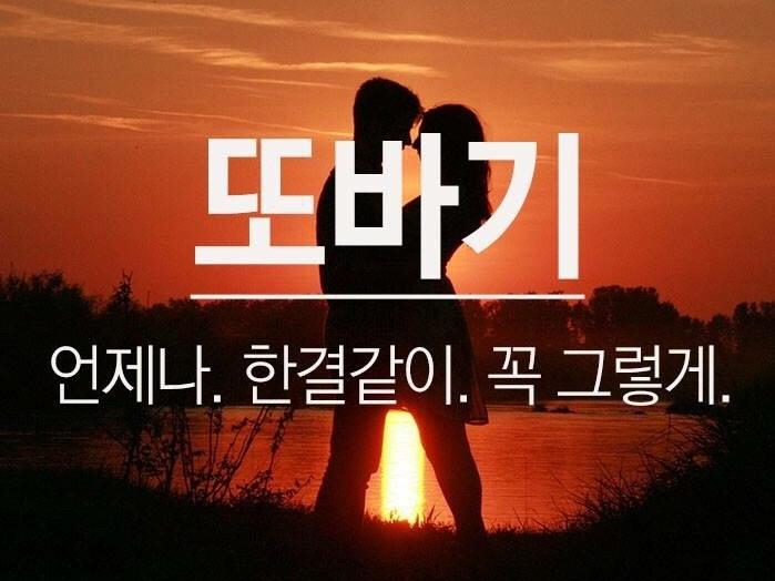 예쁜 우리말 2 | 보배드림 자유게시판