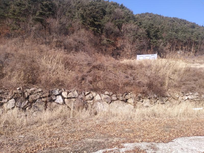 두메산골 아지트에서.. | 보배드림 자유게시판