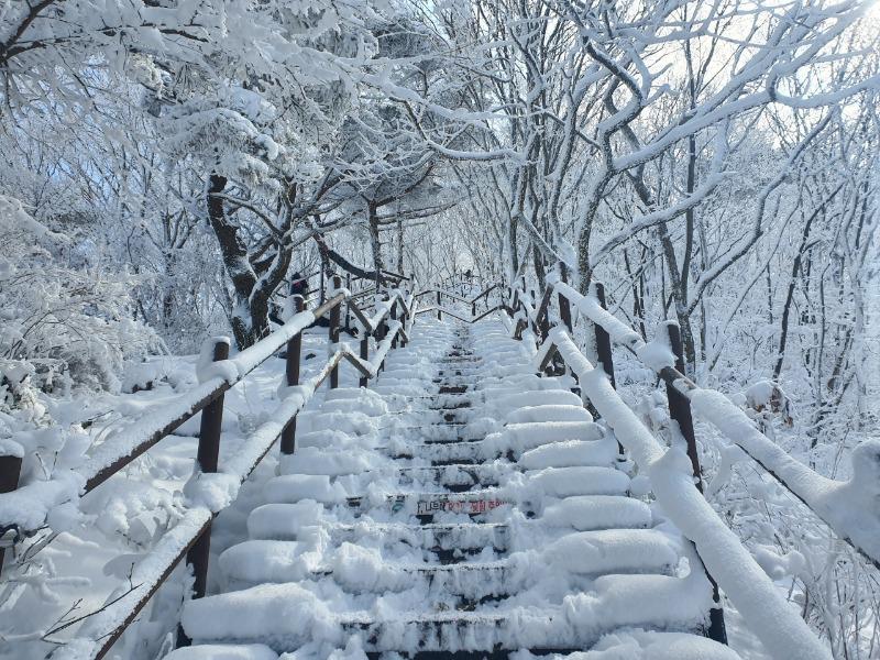 겨울왕국 무등산힐링 | 보배드림 자유게시판