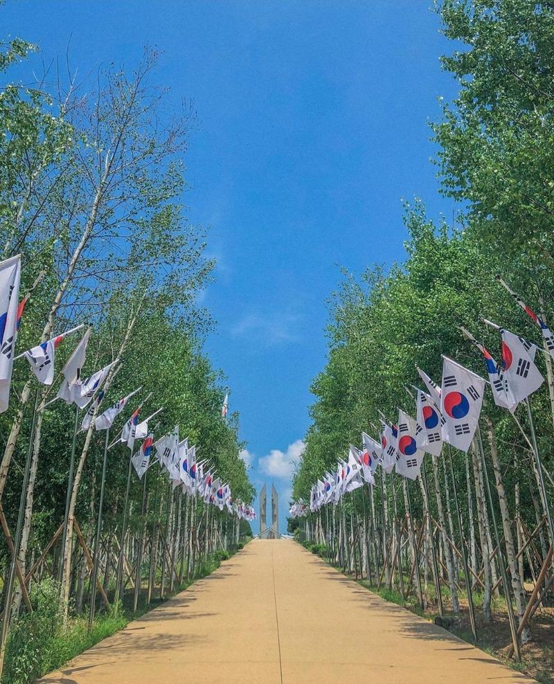 능이삼계탕 | 보배드림 자유게시판