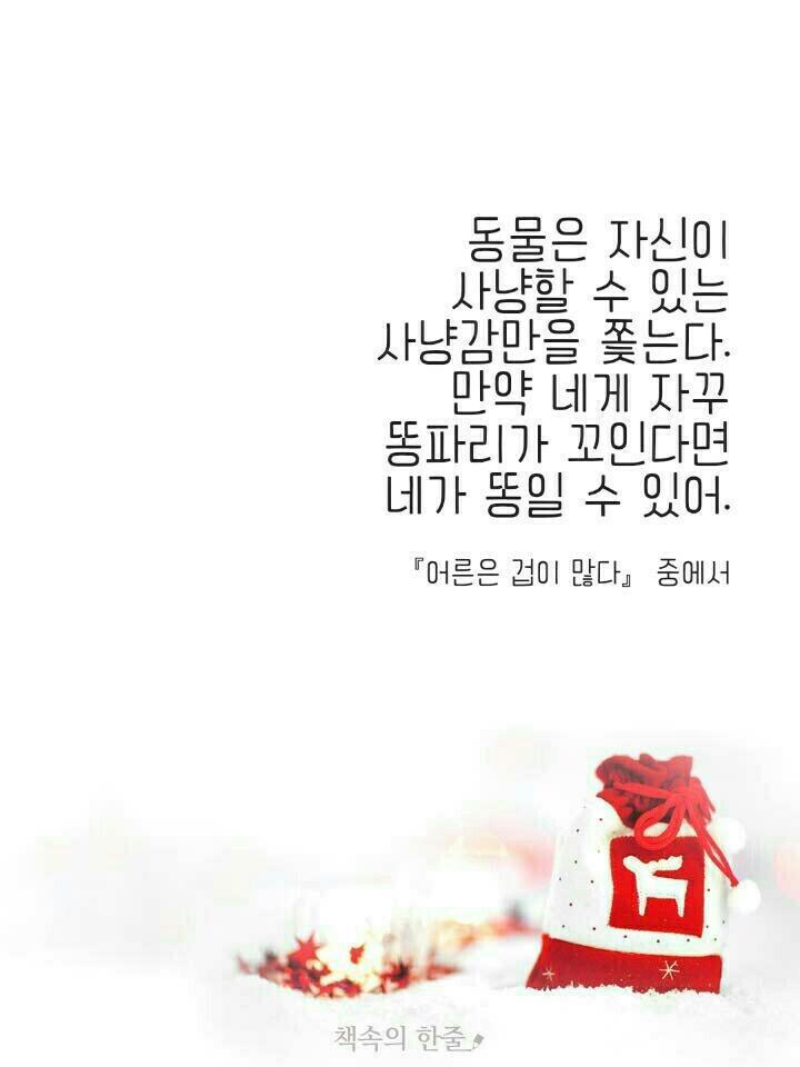 오늘의 글귀 | 보배드림 자유게시판