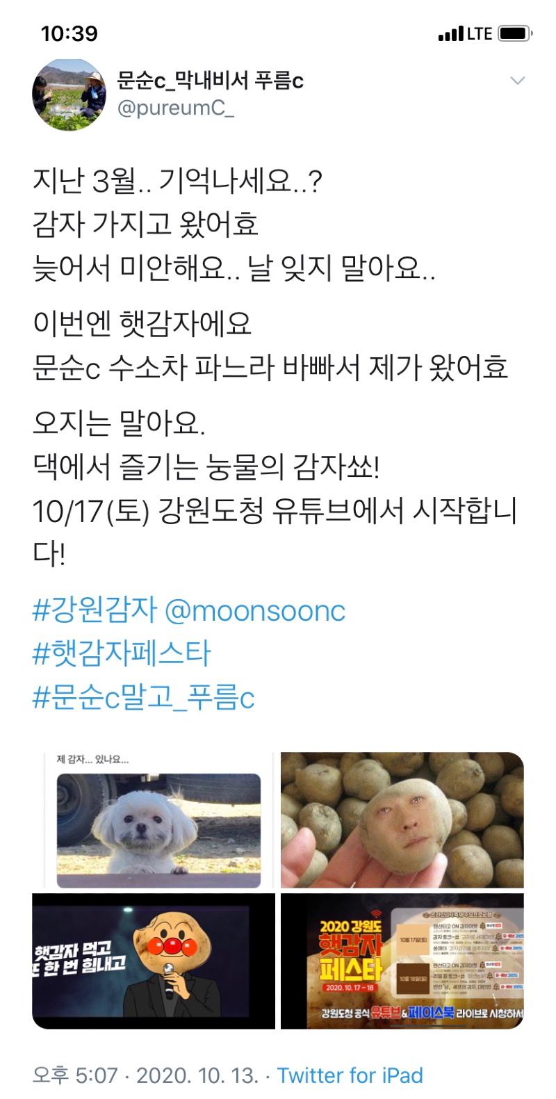 바울복사 이미지