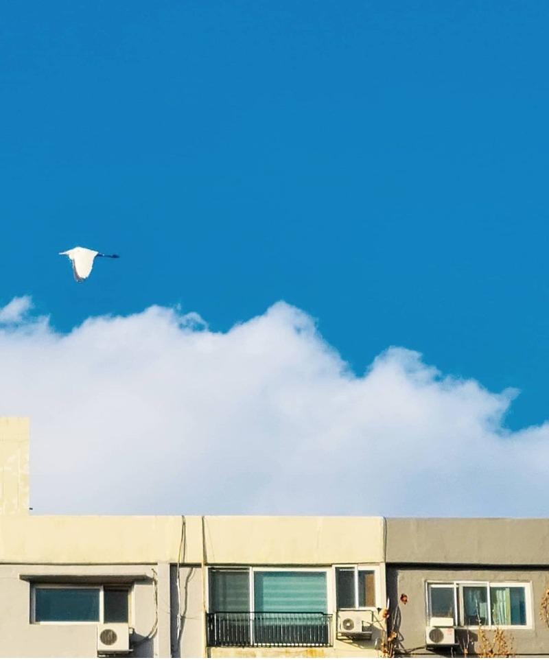 굿모닝 | 보배드림 자유게시판