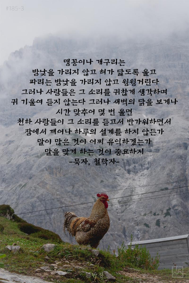 185-3-맹꽁이나-개구리는-밤낮을.jpg