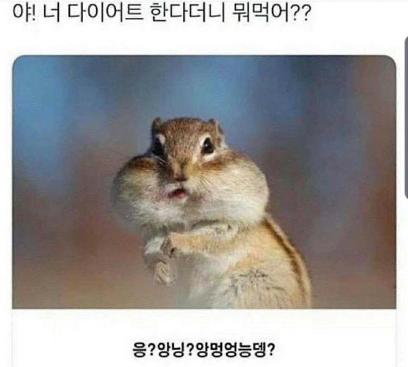이시간에 누가 술먹습니까? | 보배드림 자유게시판