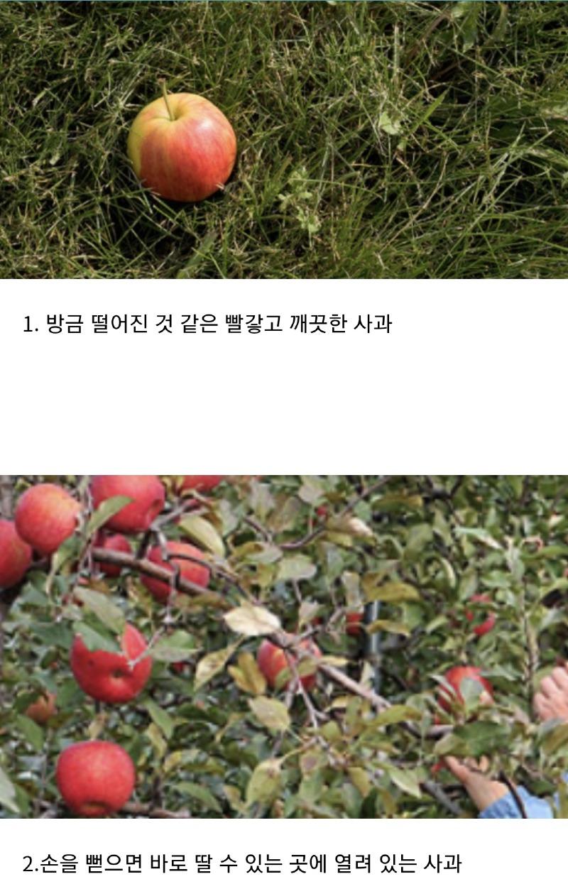 Screenshot_20210415-190600_Naver Cafe.jpg