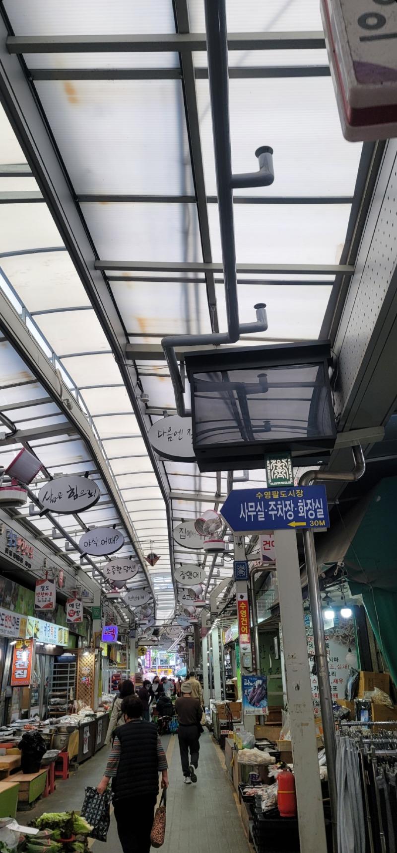어슬렁 어슬렁 | 보배드림 자유게시판