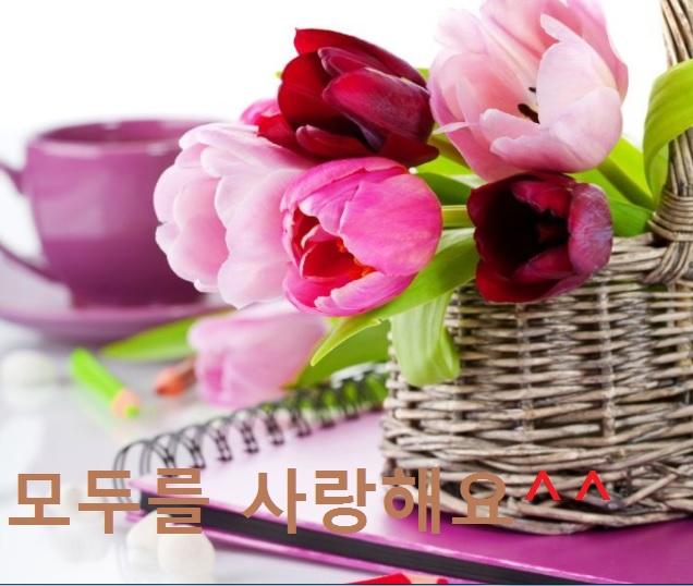 좋은아침... 활기찬 하루 보내셔요 | 보배드림 자유게시판 좋은아침...  활기찬 하루 보내셔요 | 보배드림 자유게시판