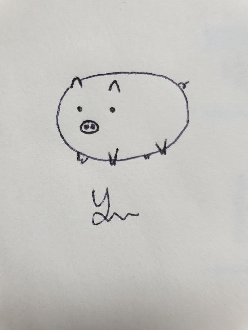 돼지나른다원본.jpg