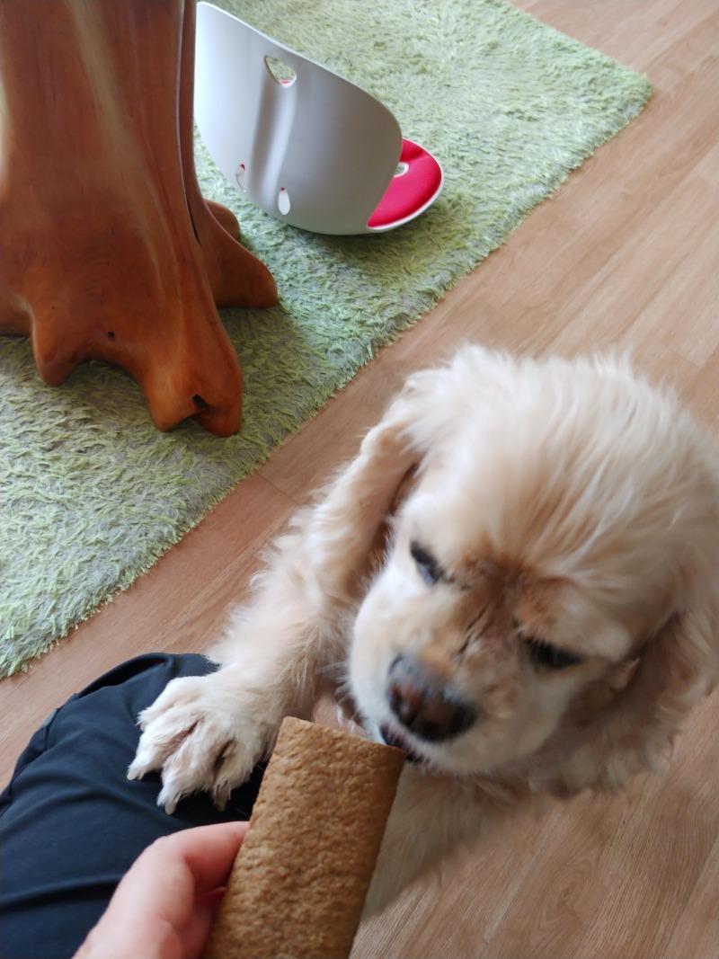 멍편한세상 이미지