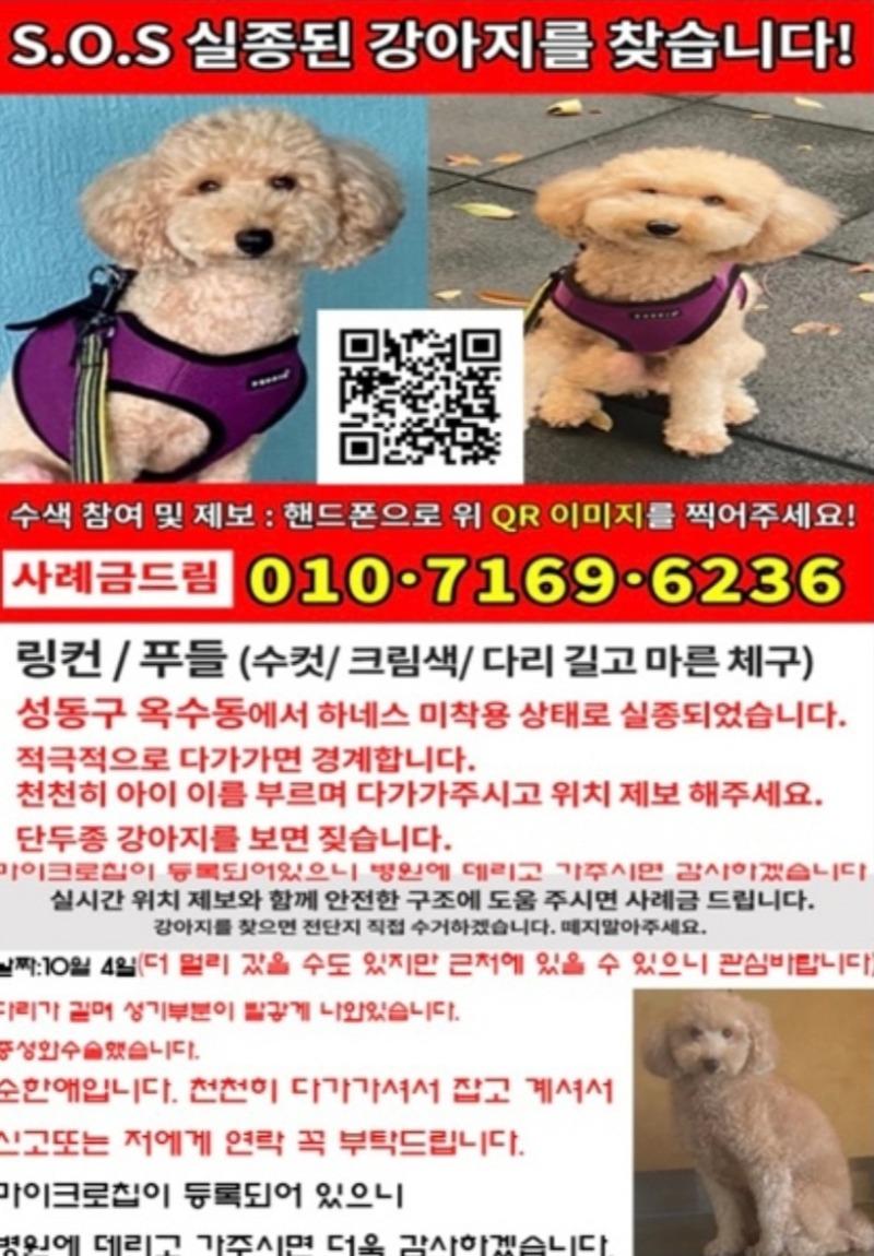 백광세탁소 이미지