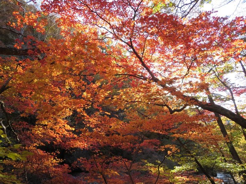 주천광고 이미지