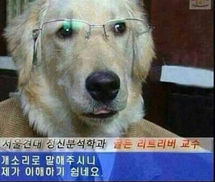 참 이미지